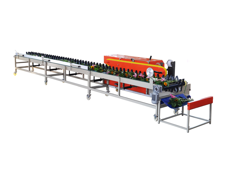 7.8m Flower Processing Line